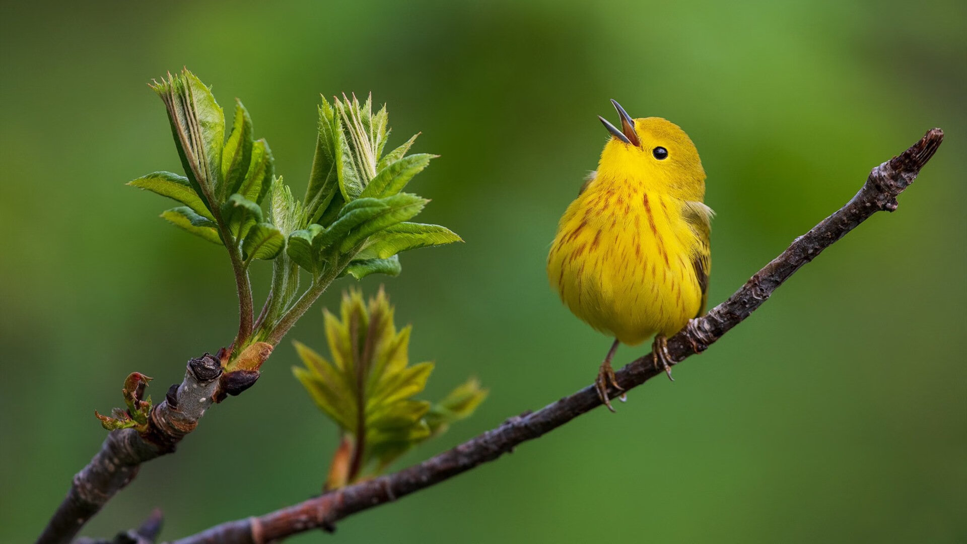 “青少年足球科普体育文化讲座在全国校园广泛开展”，全国青少年足球示范课教案