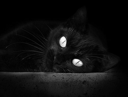 公牛签下发展联盟盖帽王,主帅看好其潜力,nba公牛2021