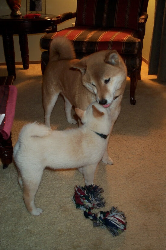 季后赛关键战中，他连续几次用“硬汉封堵”让对手陷入“绝境”！