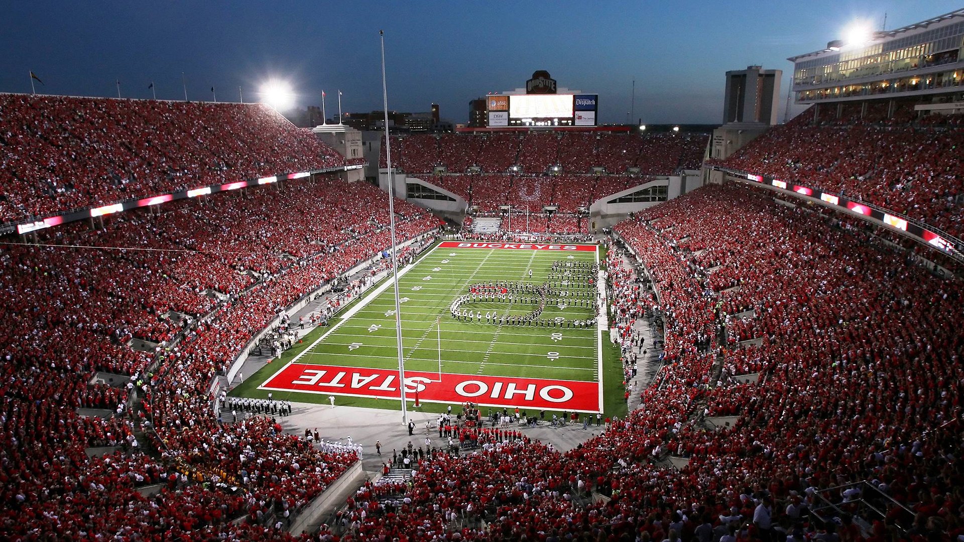 森林狼本土球员参与城市公益活动，森林狼球队